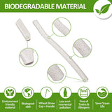 Biodegradable Wheat Straw Eyebrow Razor Trimmer -  Facial Dermaplaning Razor - Set of 3