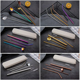 Reusable Drinking Straw Spoon Pack (new)