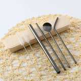 Reusable Drinking Straw Spoon Pack (new)