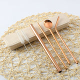 Reusable Drinking Straw Spoon Pack (new)