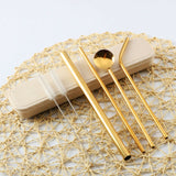 Reusable Drinking Straw Spoon Pack (new)