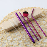 Reusable Drinking Straw Spoon Pack (new)