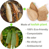 Eco Kitchen Sponge - Dish Cleaning Brush - Handmade Loofah Scrubber (new)